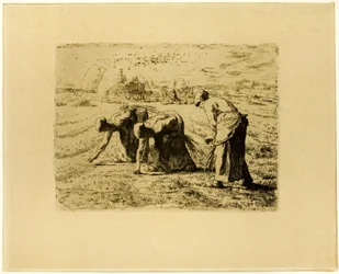 Les glaneurs