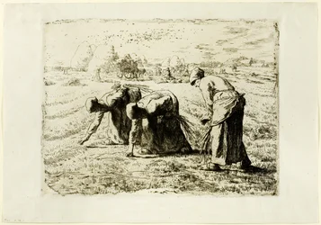 Les glaneurs