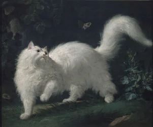 Chat angora chassant un papillon, vers 1760