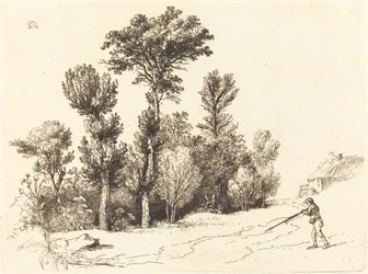 Petit bosquet au chasseur