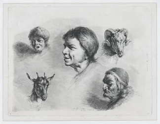 Étude de cinq têtes