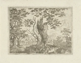 Paysage avec un arbre cassé