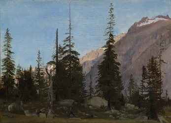 Paysage alpin : La Handegg, Suisse
