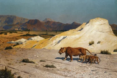 Lionne et Lionceaux
