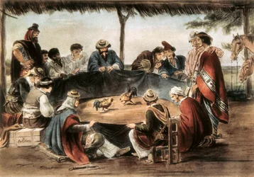 Combat de coqs en Argentine