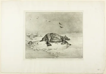 Cheval mort