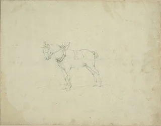 Cheval de trait