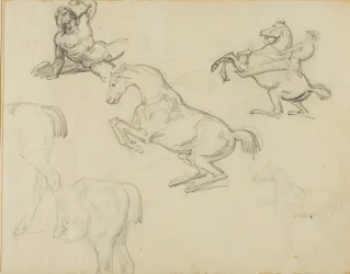 Esquisses : Nu couché, cavalier et divers chevaux
