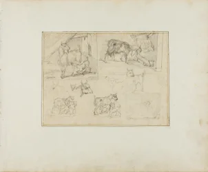 Croquis de chèvres