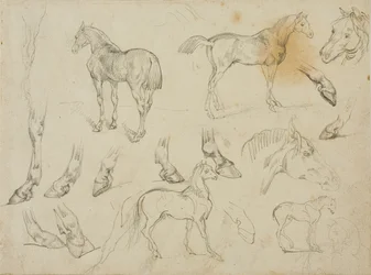 Croquis d