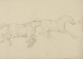 Deux chevaux galopant vers la droite