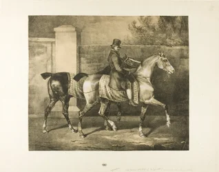 Deux chevaux promenés par un jockey
