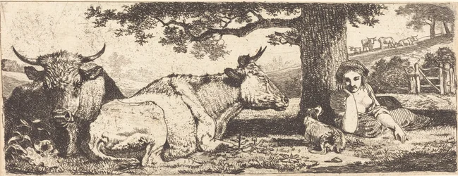 Deux vaches et une femme allongée
