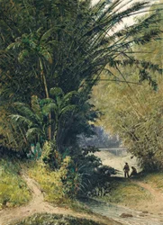 Une bambouseraie à Trinidad