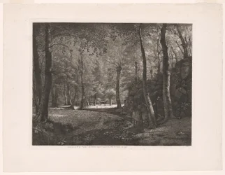 La forêt de Rochecardon