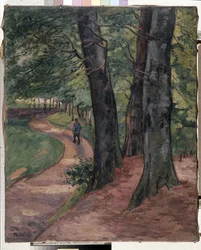 Le bord de la forêt d