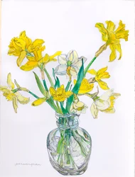 Jonquilles dans un vase à col étroit, 2006 (aquarelle et encre sur papier)
