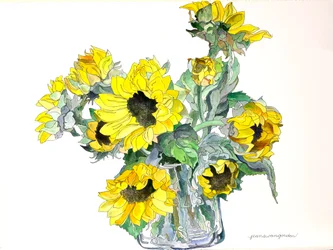 Tournesols, 2002 (aquarelle et encre sur papier)