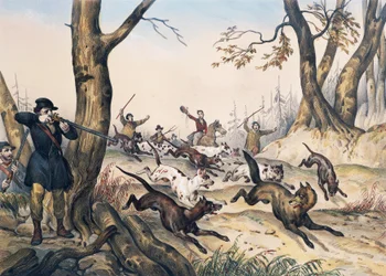 Chasse au loup, gravure de Jean Victor Adam