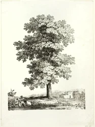 Étude d