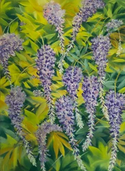 Wisteria flowers  foliage 1, 2023 (pastel sur papier)