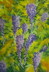Wisteria flowers  foliage 2, 2023 (pastel sur papier)