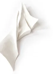 Formes blanches fluides