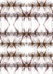 Motif symétrique organique