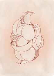 Fleur abstraite aux contours flous