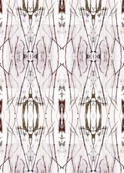 Motif naturel symétrique