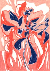 Plantes coralliennes aux couleurs vives