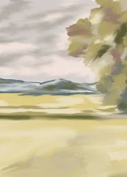 Sérénité des champs dorés