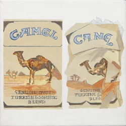 Paquets de cigarettes Camel
