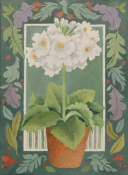 Primule blanche (acrylique)