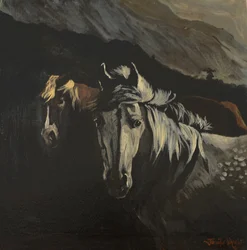 Poneys de montagne