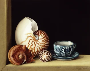 Nature morte avec nautile