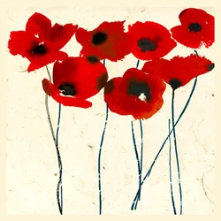 Coquelicots encre