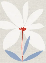 Marguerite imprimée