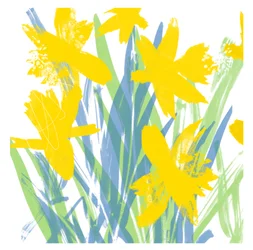 Jonquilles de printemps