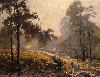 Femmes cueillant des fleurs jaunes dans un paysage boisé