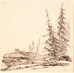 Un promontoire rocheux avec des sapins