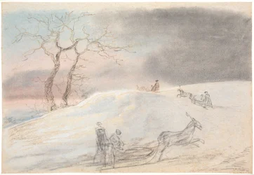 Promenade en traîneau dans le givre