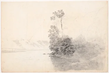 Paysage suisse avec arbres sur une presqu