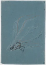Étude de jambes et de pieds pour le portrait de madame de Prangins