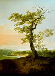 Vue du lac Léman près de Veyrier