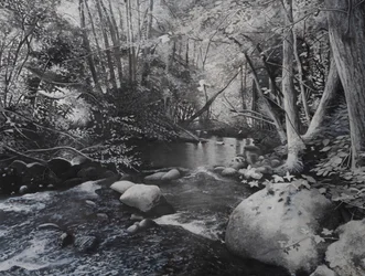Paysages fluviaux, 2024 (huile sur toile)