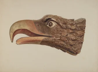 Aigle