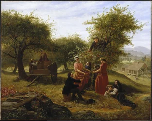Récolte de Pommes