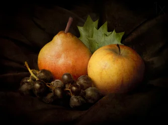 Nature morte « Récolte sombre »