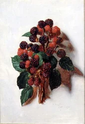 Octobre (d